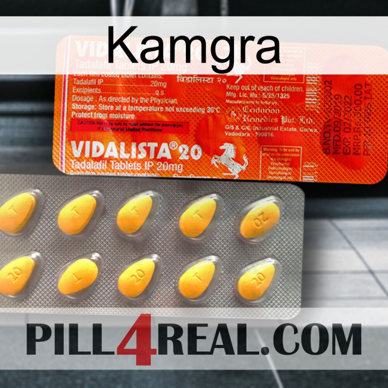 Kamgra new01